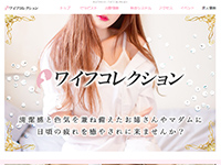 ワイフコレクション