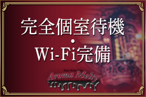 Melty-メルティー-(新越谷ルーム)完全個室待機・Wi-Fi完備