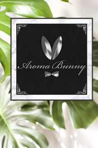  Aroma　Bunny（アロマ　バニー）の求人