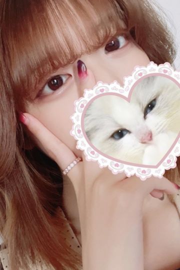 ねこ