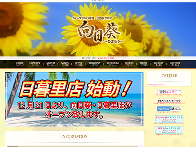 向日葵 ～ひまわり～ 日暮里ルーム