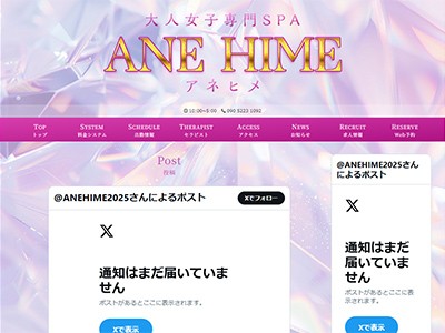 ANEHIME～アネヒメ～