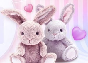 BUNNY OKAYAMA（バニーオカヤマ）