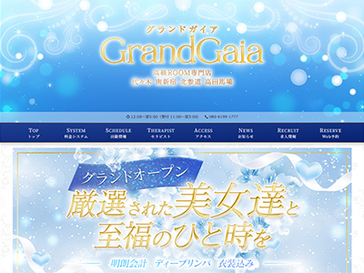 グランドガイア GrandGaia 代々木店