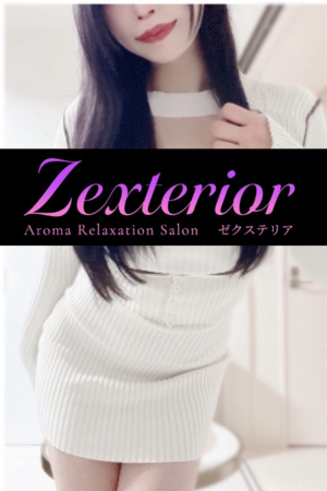 Zexterior ゼクステリア