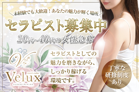 Veluxヴェラックスの求人