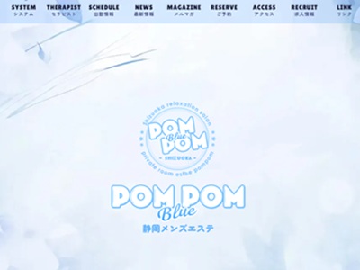 ポムポムBlue 浜松ルーム