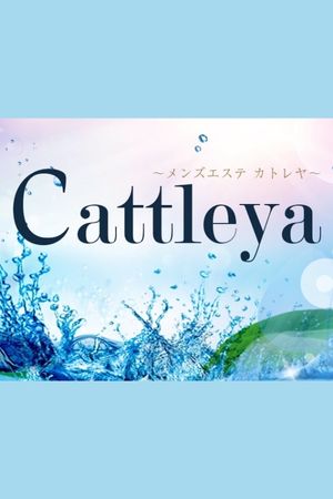 カトレヤ（Cattleya）